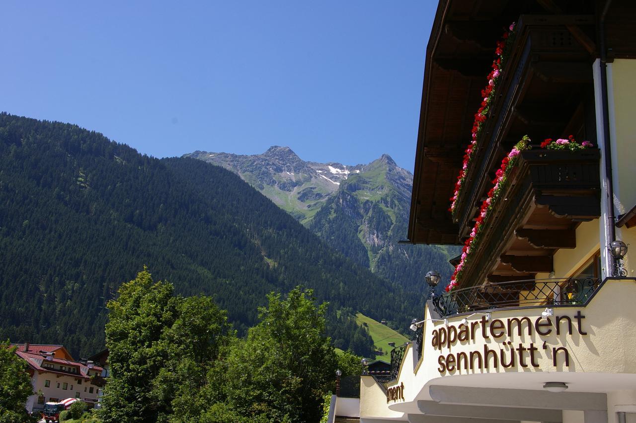 Appartementhaus Sennhuettn 핑켄베르그 외부 사진
